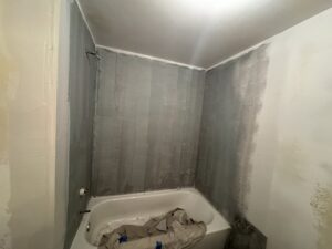 Image from project
